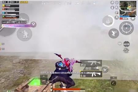 主播玩和平精英用辅助吗(主播玩和平精英都是用的辅助吗) 主播玩和平精英用辅助吗(主播玩和平精英都是用的辅助吗)