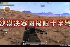 和平精英开枪辅助软件有哪些（和平精英辅助软件有哪些）